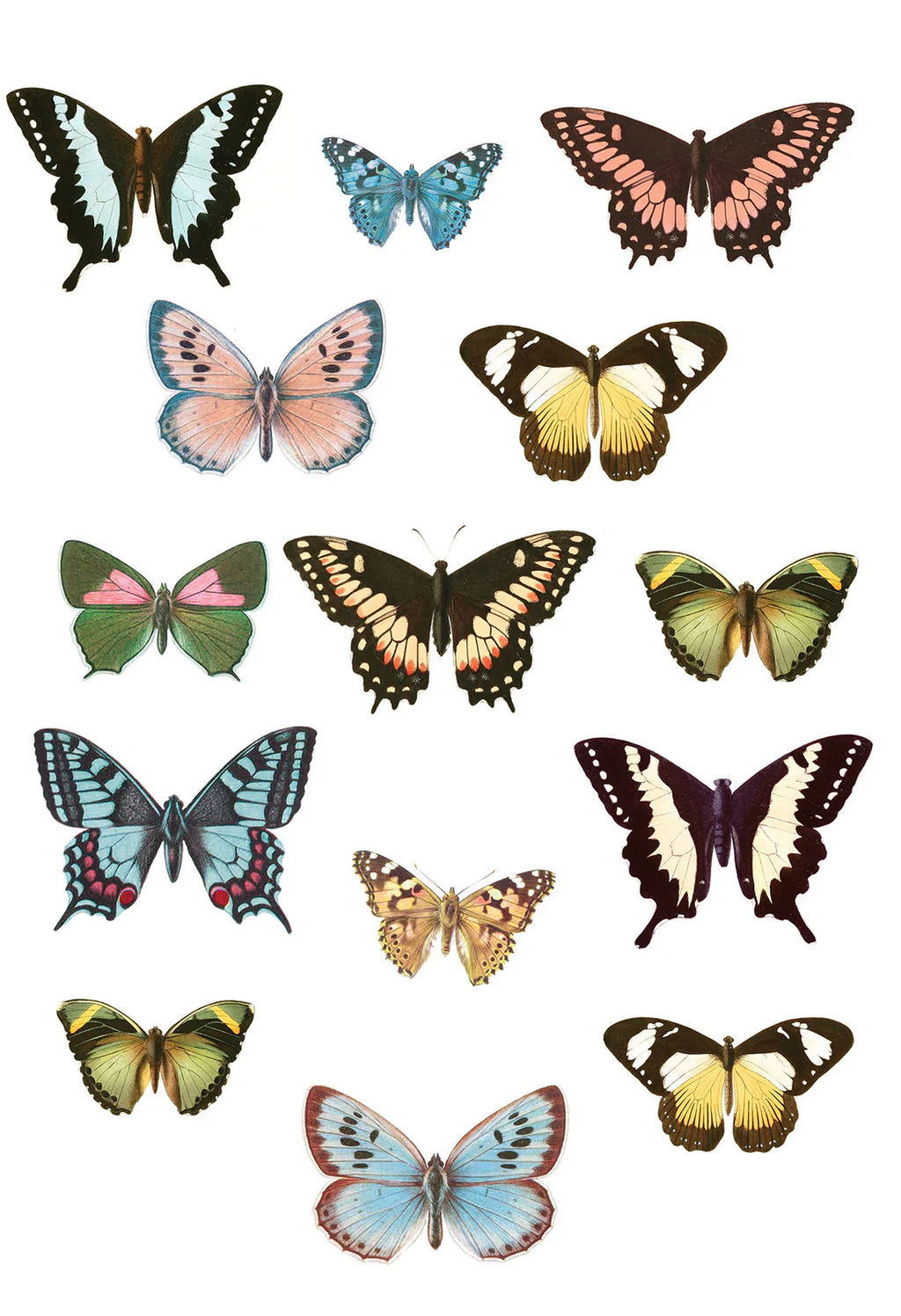 Spread Your Wings Wall Decals