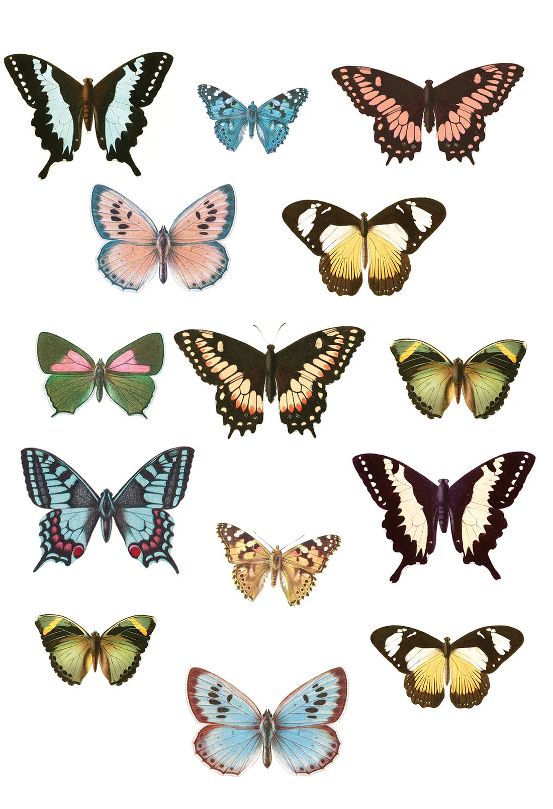 Spread Your Wings Wall Decals
