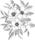 Anemone & Blackberry Wall Decals
