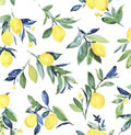 Lemon Drop Peel and Stick Wallpaper